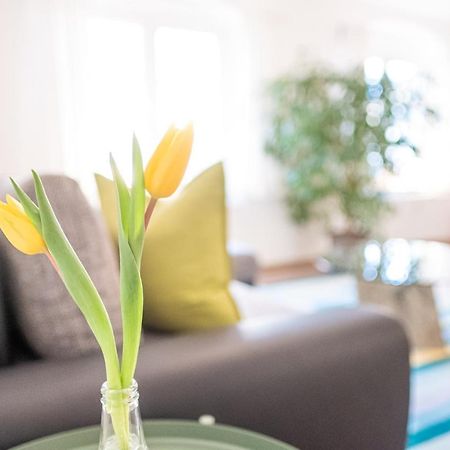 Helle Ferienwohnung Im Hinterhof Dresden Bagian luar foto